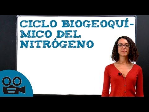 Dónde podemos encontrar el nitrógeno en nuestro entorno