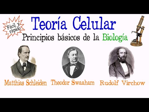 Contexto histórico de la teoría celular: un análisis breve.