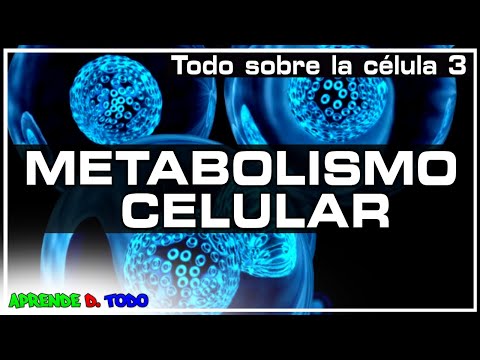 La célula y el metabolismo: fundamentos de los seres vivos.