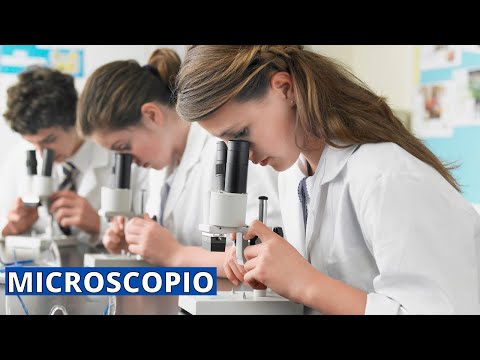 Cuáles son los dos microscopios electrónicos básicos?