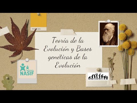 Evidencias genéticas de la evolución: un análisis revelador.