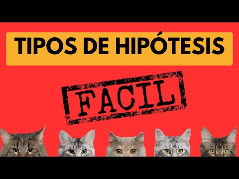 Cuáles son los 4 tipos de hipótesis en investigación