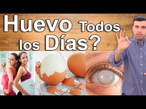 ¿Cómo se llama la proteína del huevo y sus beneficios?