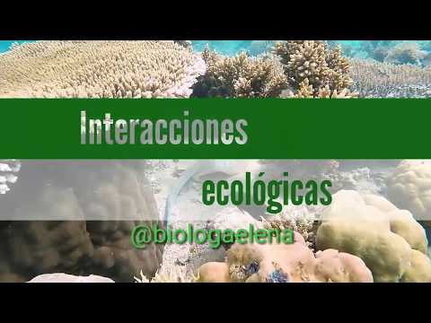Dos ejemplos de interacción ecológica presentes en este entorno.