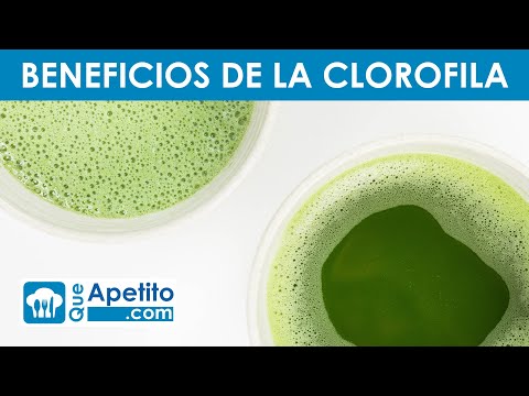 Descubre el propósito de la clorofila en nuestra salud