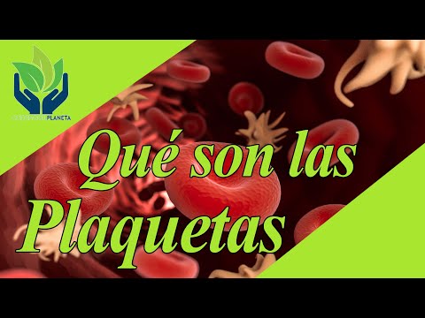 ¿Qué son las plaquetas en el cuerpo humano y su función?