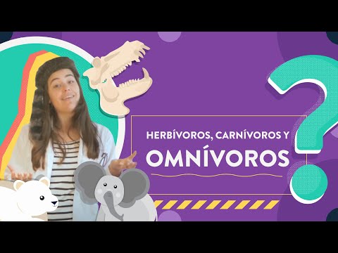 ¿El caballo es carnívoro, herbívoro u omnívoro?