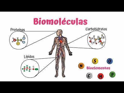 Identificación de proteínas y lípidos: clave para la investigación científica