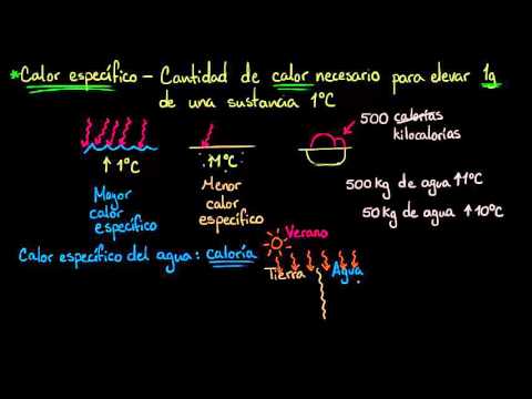 Cuál es el calor específico del agua y su importancia