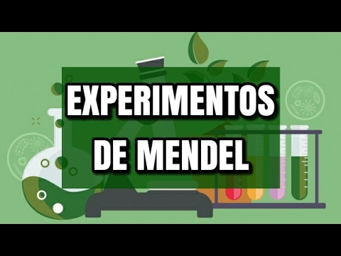 Experimentos sobre hibridación de plantas: avances en la investigación