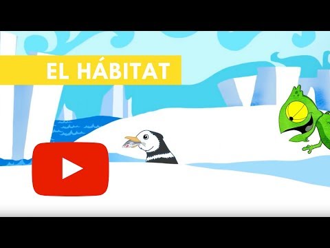 El hábitat: el lugar donde vive un organismo o conjunto.