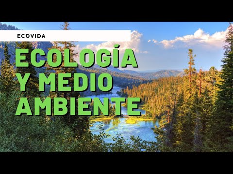 Cómo se relaciona la ecología con la química: una visión integral