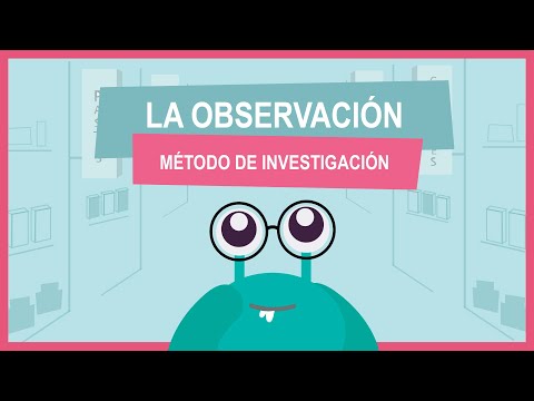 Características de la observación directa: un enfoque detallado e imparcial.