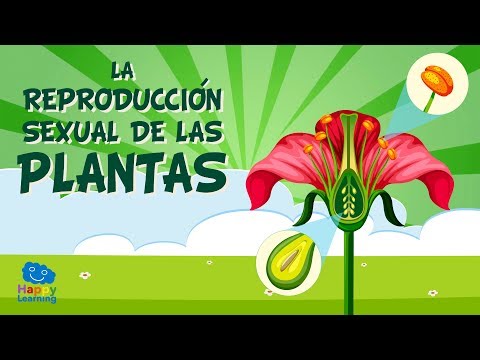 La reproducción de las plantas y su impacto en el ambiente