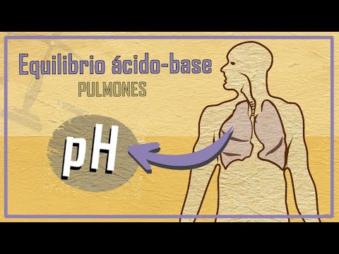 Sistemas extrasanguíneos: manteniendo el pH extracelular en equilibrio.