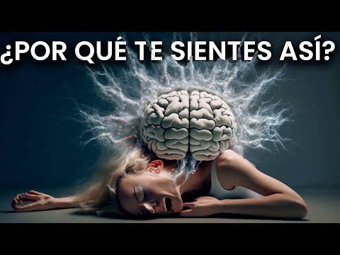 Tipos de neurotransmisores y su influencia en el comportamiento humano
