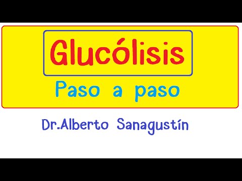 Aspectos generales de la glucólisis: un análisis detallado del proceso.
