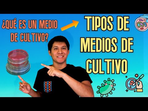 Informe de medios de cultivo en microbiología: una visión actualizada.