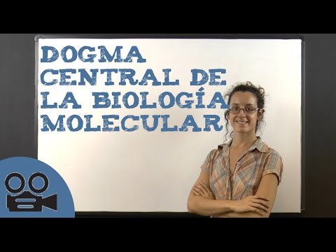 El dogma central de la biología molecular: una visión esencial
