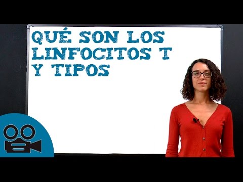 Características de los linfocitos T: una revisión en profundidad.