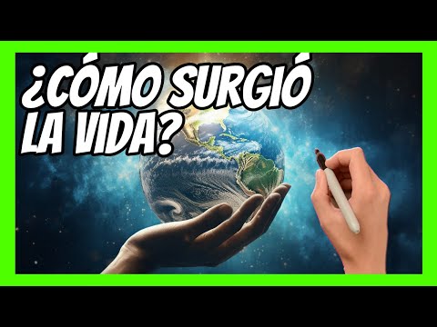 El origen de la vida en el planeta: una explicación