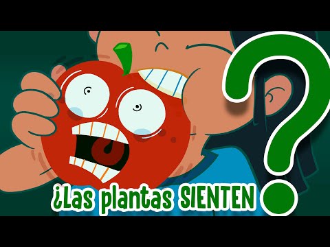 Las plantas, ¿tienen sistema nervioso?