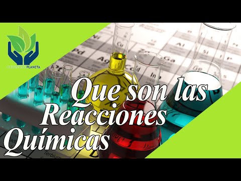 Características de las reacciones químicas en los seres vivos: un análisis.