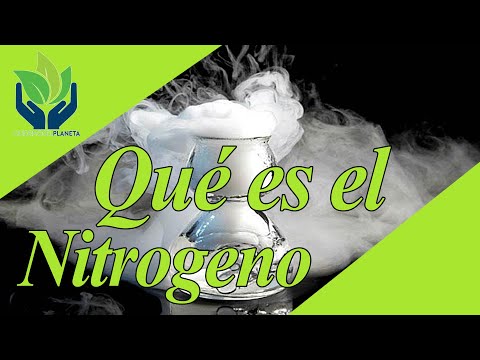 Dónde se encuentra el nitrógeno en el cuerpo humano