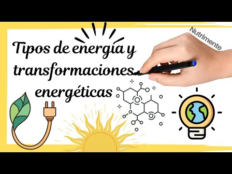 Formas de energía de los seres vivos: una visión general