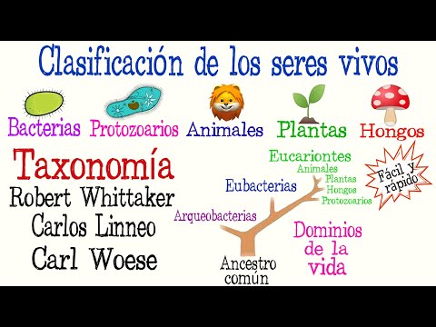 Clasificación de los seres vivos según Woese: una perspectiva actualizada