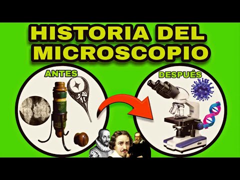 Quién inventó el microscopio y en qué año se creó