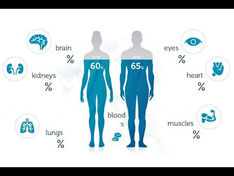 Aproximadamente, ¿cuánta agua contiene tu cuerpo?