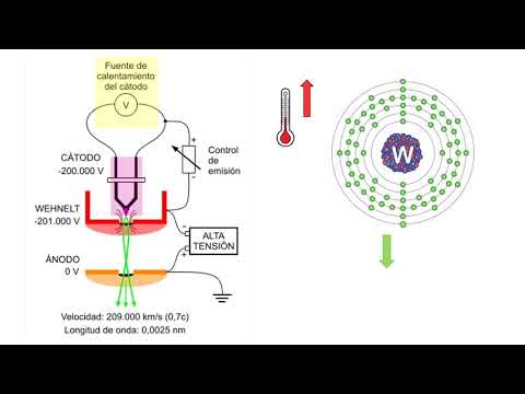 Cómo funciona el microscopio electrónico de transmisión: una explicación detallada