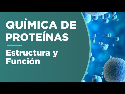 Unidad monomérica de las proteínas: clave en su estructura y función