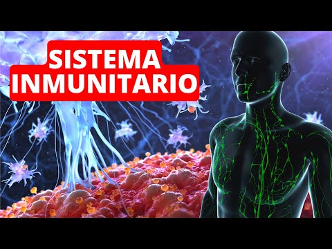 ¿Cuáles son los elementos del sistema inmunológico y su función?