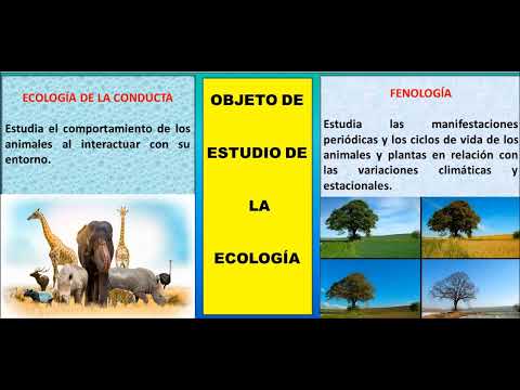 El ejemplo de objeto de estudio de la ecología