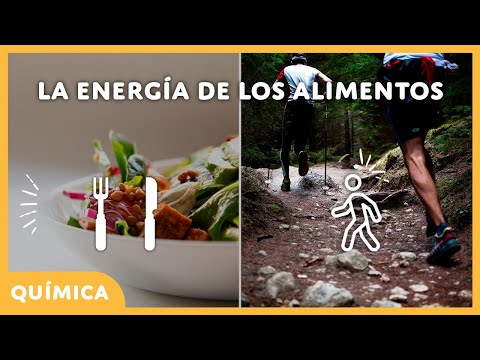 ¿Qué tipo de energía tienen los alimentos que consumimos?