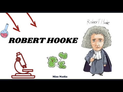 Lo observado por Robert Hooke en el microscopio: un descubrimiento revelador