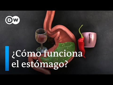 ¿Qué tan fuerte es el ácido estomacal?