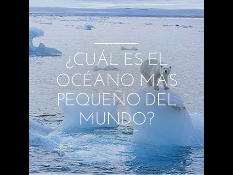 ¿Cuáles son los océanos más grandes y los más pequeños?