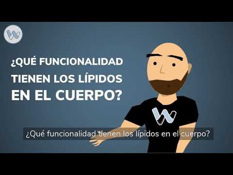 La importancia de los lípidos en el organismo y su función.