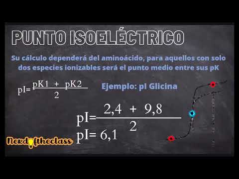 Punto isoeléctrico: Importante característica de los aminoácidos.