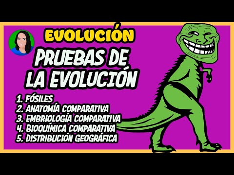 ¿Qué pruebas existen de la evolución de las especies?