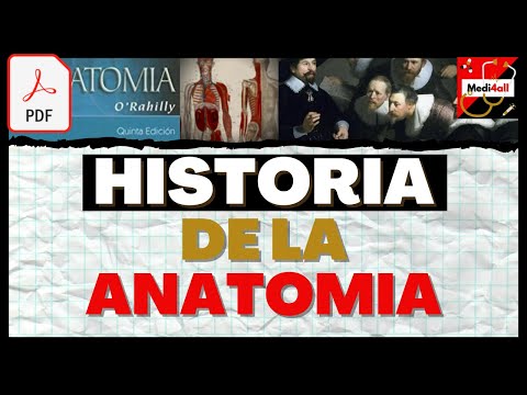 Historia de la anatomía: Línea del tiempo a través del tiempo.