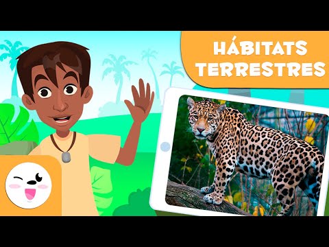 Animales terrestres y acuáticos: una guía divertida para niños