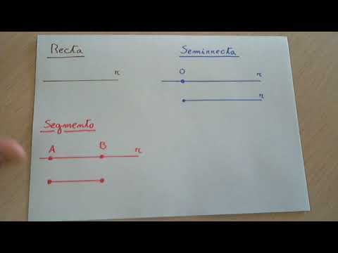 El concepto de segmento: características y excepciones.