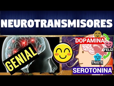 Cuáles son los principales neurotransmisores en el cerebro