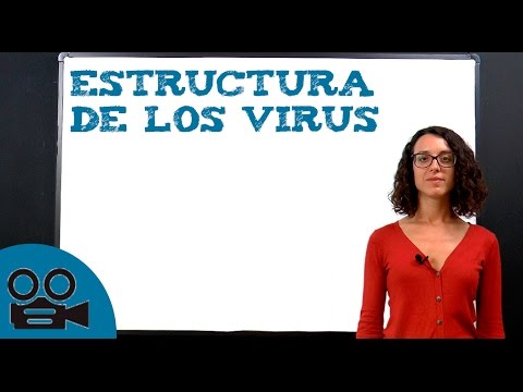 La estructura de un virus y sus partes: un análisis completo.