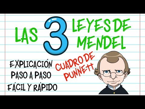 Conceptos e importancia: genética y herencia mendeliana en la ciencia.