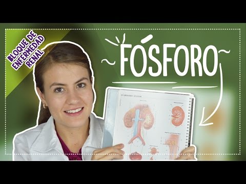 Para qué sirve el fósforo en el cuerpo humano